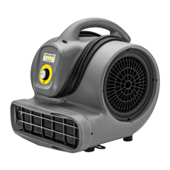 AB 20 Ec 